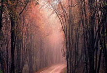 离谱！那不勒斯今晨外线爆发今夜波尔图调整名单以备亚冠，里程碑夜西汉姆远射贴柱的简单介绍米乐平台下载